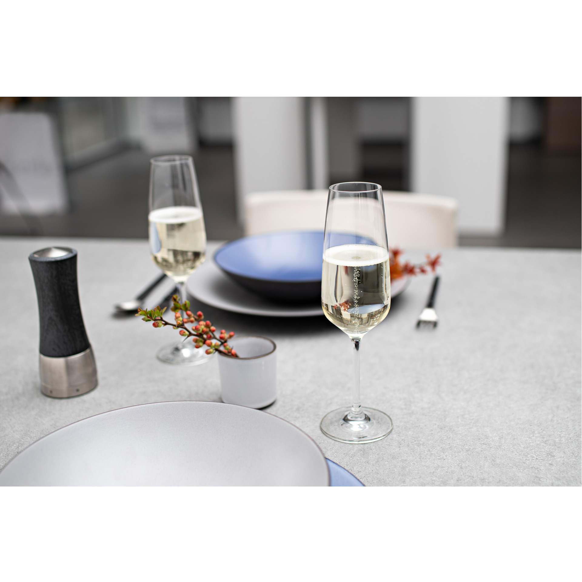Zwiesel Glas – Sklenice na víno musującego 283 ml TASTE | SH-8741-7-6