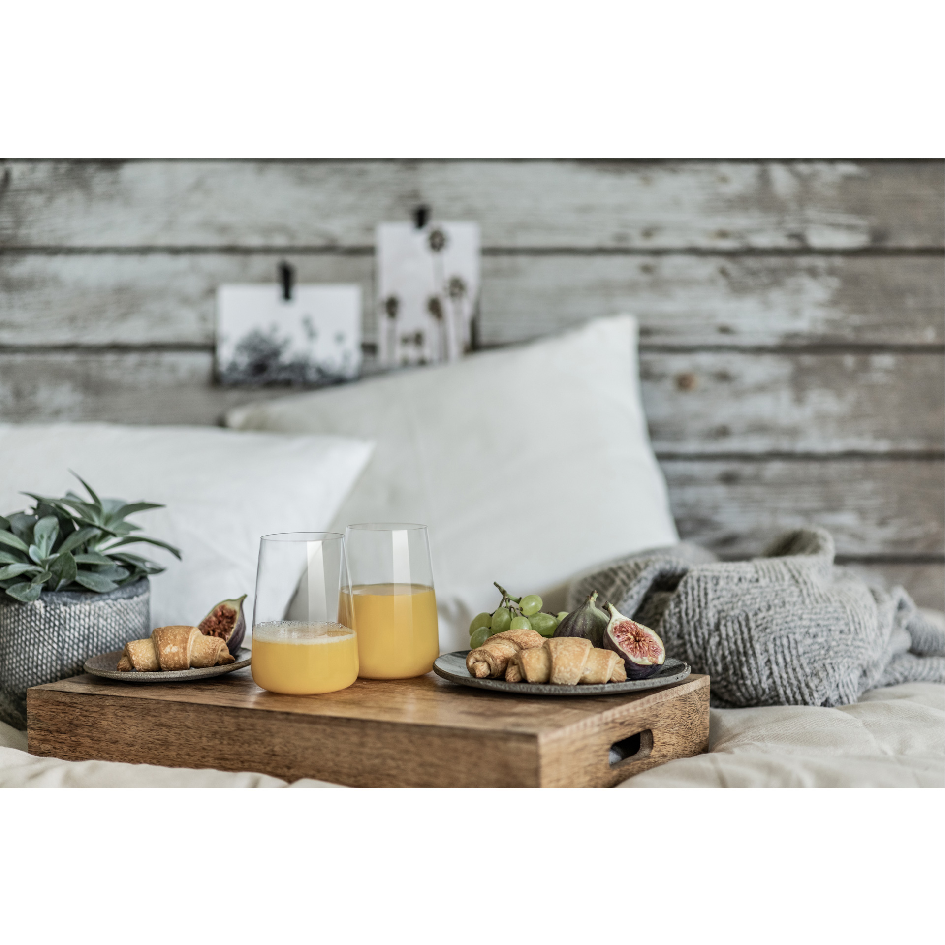 Zwiesel Glas – Sklenice 500 ml SENSA | SH-8890-42-6