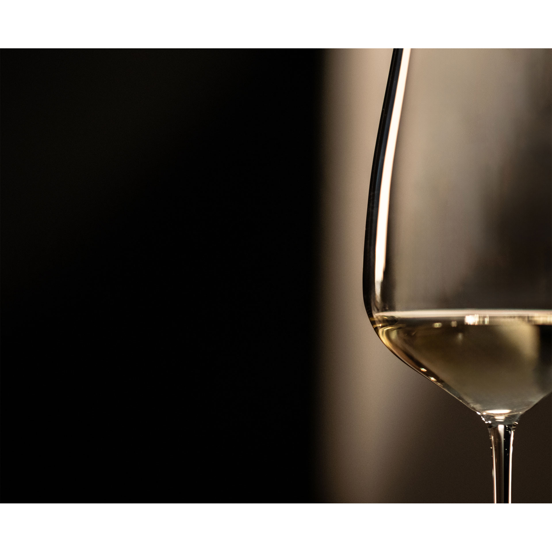 Zwiesel Glas – Sklenice Allround 514 ml PERFECT MATCH | SH-9160-2-6