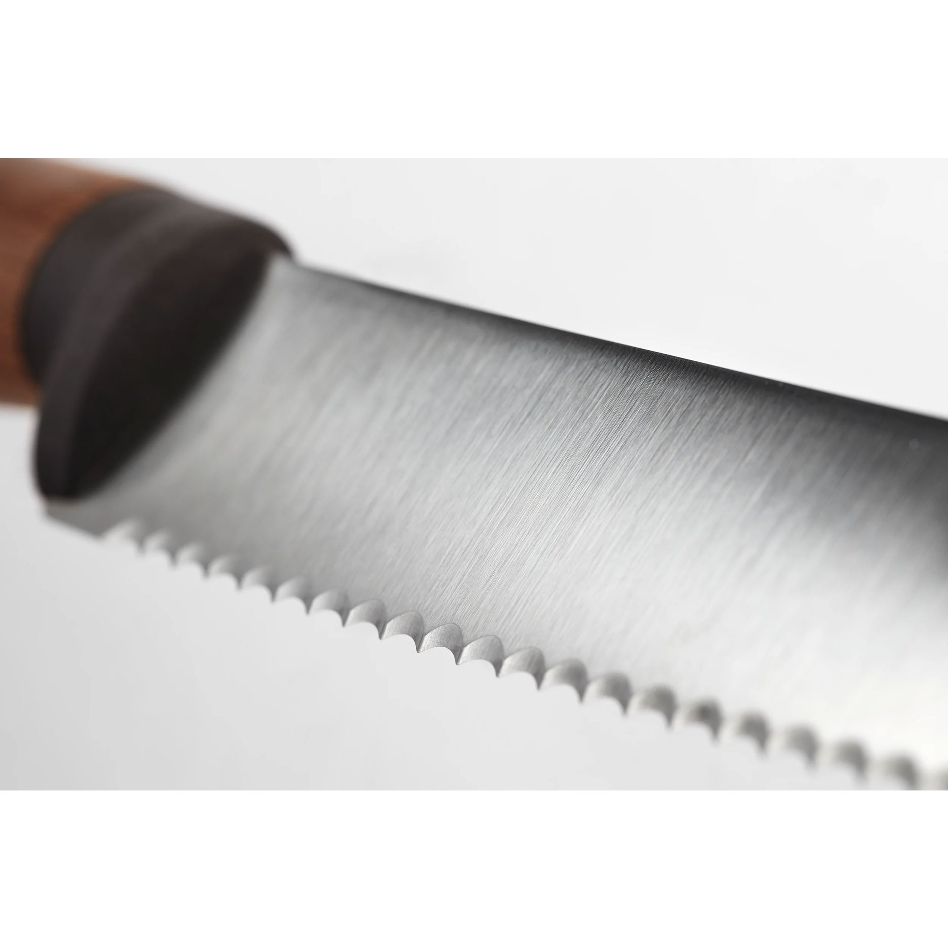 Wüsthof Urban Farmer – zoubkovaný univerzální nůž 14 cm | W-1025246314