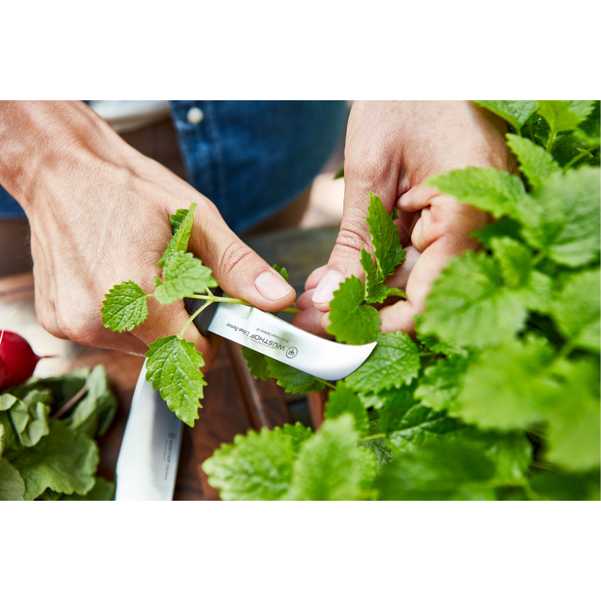 Wüsthof Urban Farmer – okrajovací / ořezávací nůž 8 cm | W-1025247808