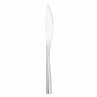Agila předkrmový nůž 22 cm | Verlo